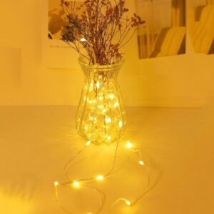 Φωτάκια LED με πλακέ διάφανο καλώδιο λευκό ζεστό 10m 00207 OEM