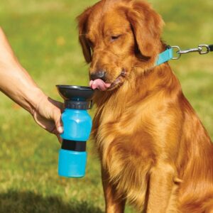 Μπουκάλι νερού για κατοικίδια 500ml OEM